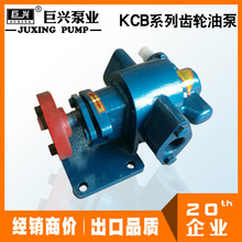 现货 kcb铸铁齿轮油泵 小型电动齿轮泵 洗洁精液体输送泵