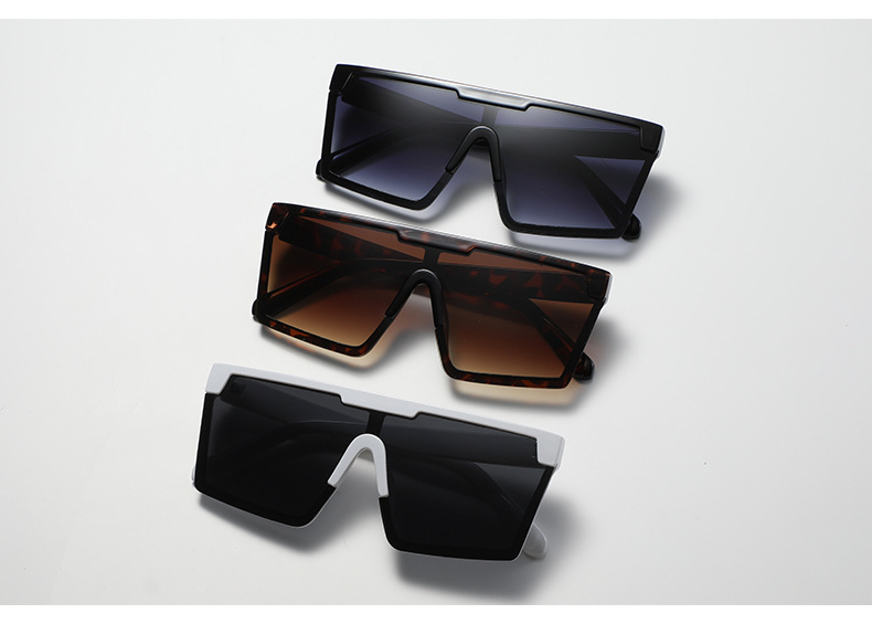 Fashion Simple Style Women's Sunglasses display picture 4