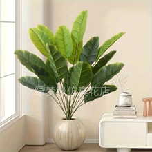 ���R�d�������˽��Gֲ�Ž��~�٘䱱�W�L�����B�Ҿ���ع����쾰