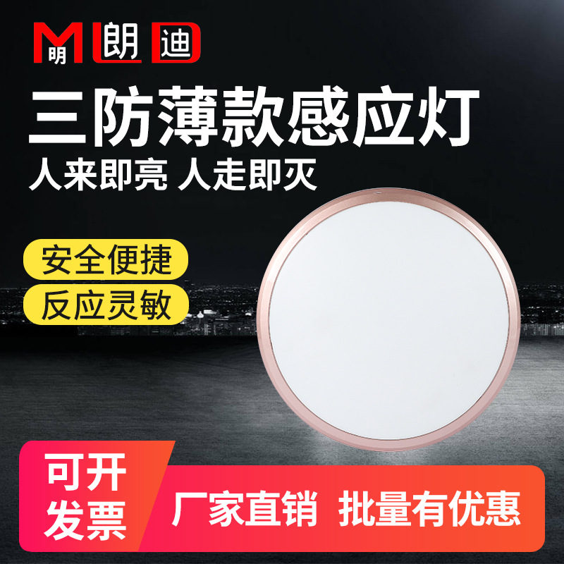 LED human body Induction waterproof dustproof Pest control Ceiling lamp stairs Corridor Aisle intelligence radar Induction Ceiling lamp