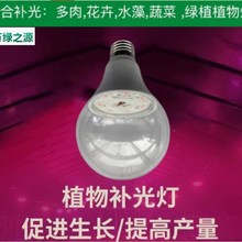 LEDȫ���Vֲ�����L���ݼ����҃Ȼ����m�����������辰ֲ���a���