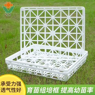 厂家直销组培专用托盘 塑料组培盘批发 耐高温组培框 园艺育苗盘