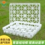耐高温塑料园艺组培育苗盘