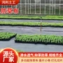 抗老化耐用透水农用果树