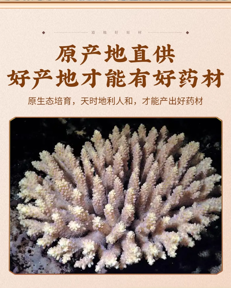 Goose Tube Stone E Guan Shi Dried Mineral Herb 500g Traditional TCM Decoction Ingredient key features