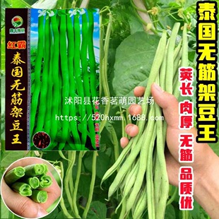 ̩���o��ܶ����N�ӷN�Ѷ��N�ļ����ݶ���ܿ���o��o�z�ⶹ�߲�