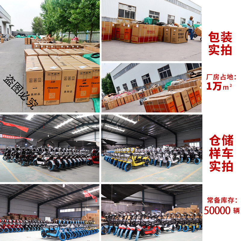 Phoenix nueva bicicleta eléctrica estándar nacional al por mayor de la batería de litio de la motocicleta