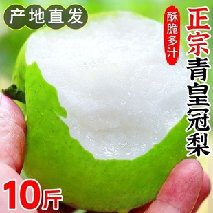 ���ڻʹ���Ƥ�������r9�ﮔ���Xɽ������ѩ�����������b���]