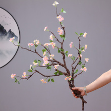 ���� ���滨�l��֦�����ͺ��Ļ��ٻ� �U����ʽ�Ҿ��b��ٶ��N��