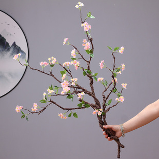 ���� ���滨�l��֦�����ͺ��Ļ��ٻ� �U����ʽ�Ҿ��b��ٶ��N��