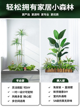 �Gֲ�쾰�҃ȷ����ٻ��䲼���̨������P�����¾��^ֲ���쾰