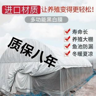 Imported black and white film thickened breeding greenhouse black and white film reflective heat insulation film sunscreen plastic cloth black and white film green and white film