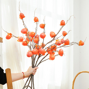 ������l������ˮ���廨֦�l�Ҿ��o��[�O�ɻ�֦�b������Ӳ�֦