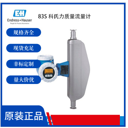 E+H Endresshaus Coriolis mass flow meter imported from Germany