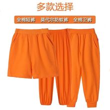 新款儿童短裤男童女童橘色五分裤活动卫裤校裤新款爆款防蚊裤外贸