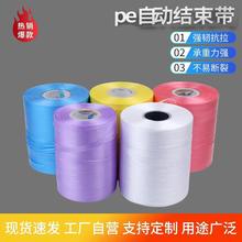 ��Ҏ��PE�����������˺�ю�ȫ�Ԅ�28̖�C�ô���������K�����l