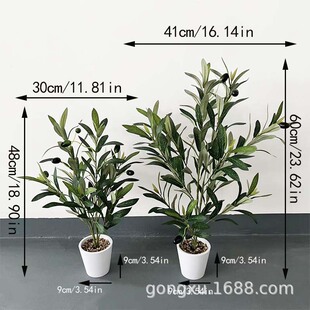 ���Wins�L�����Gֲ���� �Ҿ��҃�������ֲ���辰�G�������ϙ��