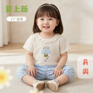 �¿�ͯŮ�ļ����b2026�����׃��·����b��������w�ɼ���a�