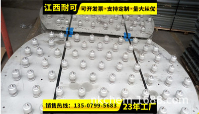 supply Bubble cap tray, Blister 304 Blister Chlorine drying tower