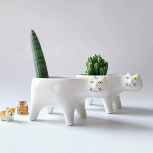 ββ؈βˇgGֲֲͨ¿ԏS