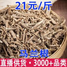 ������ �����ݸ� ������ ·�߾� �������������ͷ��������