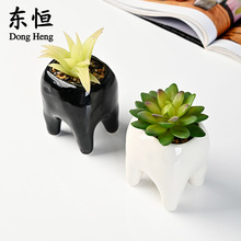 �|�a�¿�羳���⻨�迨ͨ���X�մɻ������Q���ڹ�ˇƷ���滨����