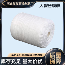 ���Ҵ��������Ĥ���S�����l�r�I�����߲��ù̶���Ĥ��