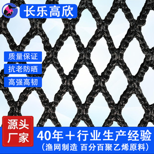 �o�Y�O�W ����ϩ�o�Y�W�ߠ������PE�W�w��������� ��ȫ���o�W