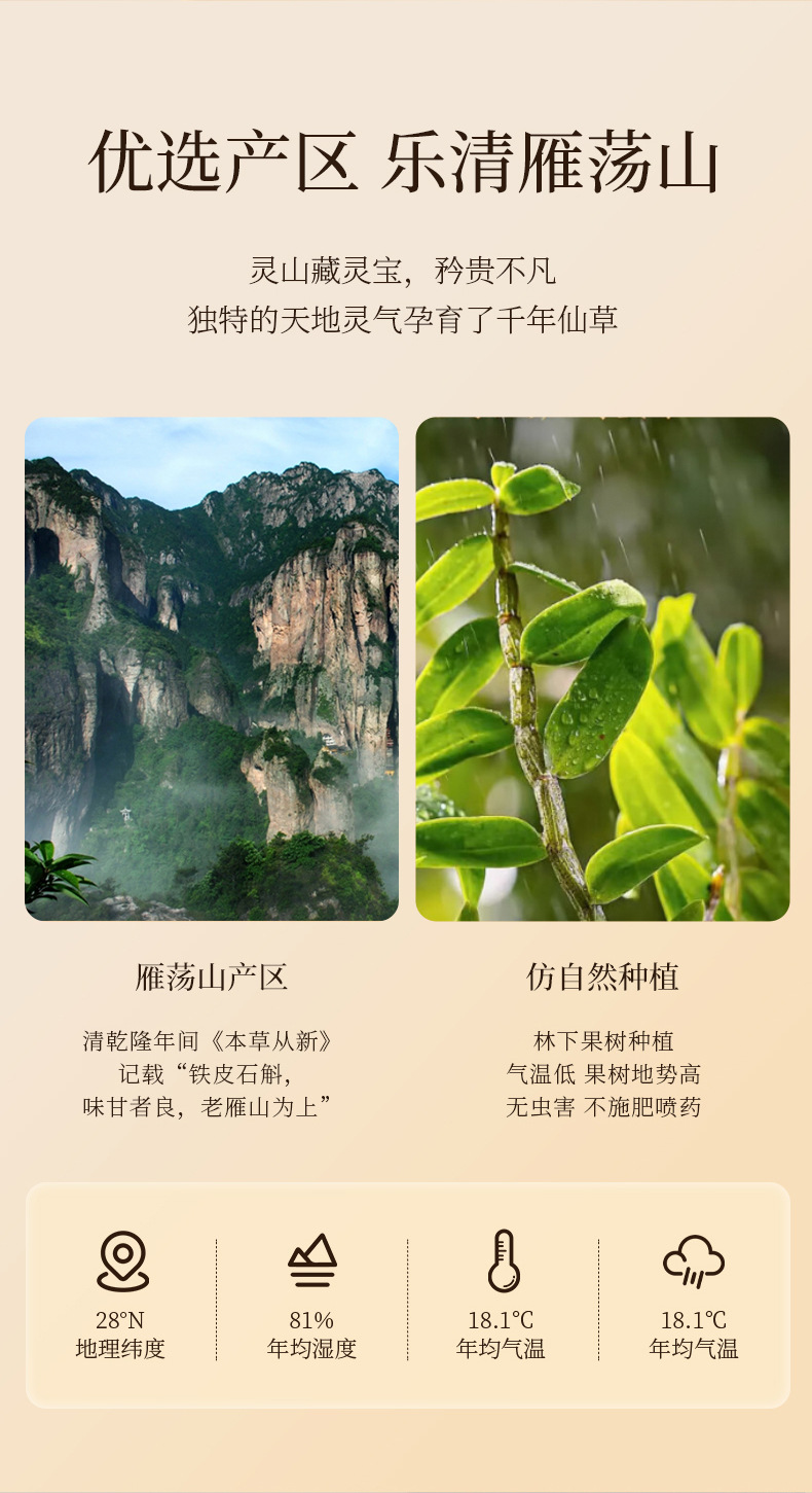 Dried Dendrobium Stem Fengdou Gift Box 200g 12 Jars Five Year Tiepi Shihu Herbal Cooking Ingredient specifications