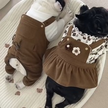 法斗衣服狗狗情侣装背带裤连衣裙恶霸比熊背带裙秋冬一件代发热销