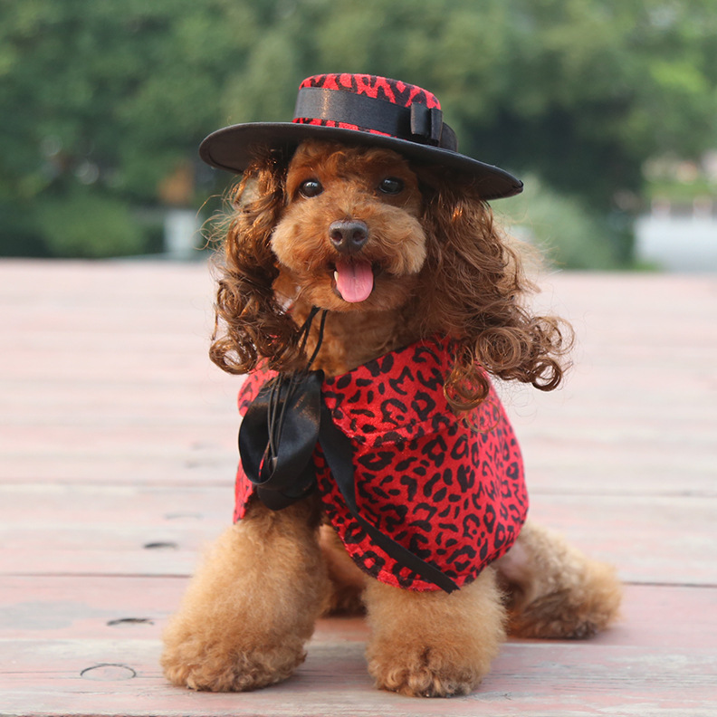 Costume di halloween per cani con mantello e cappello accessori_voghion.com