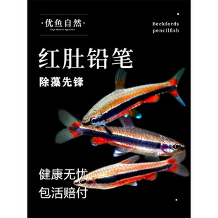 �t���U�P�~�^�p�~��ɫ�U�P�~�ݸ�Ⱥ��С�͟��~������~�Ꭷ���w�~