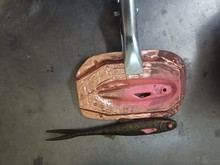 �N�ۣ����N����ģ�ߣ�����ģ�ߣ����Tģ�ߣ����wģ�ߣ��Aģ��߅ģ