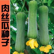 ��z�ϷN�Ӹ߮a����ϷN���ļ���z�Ϯ����̨�׻�����Ϲ��߲���