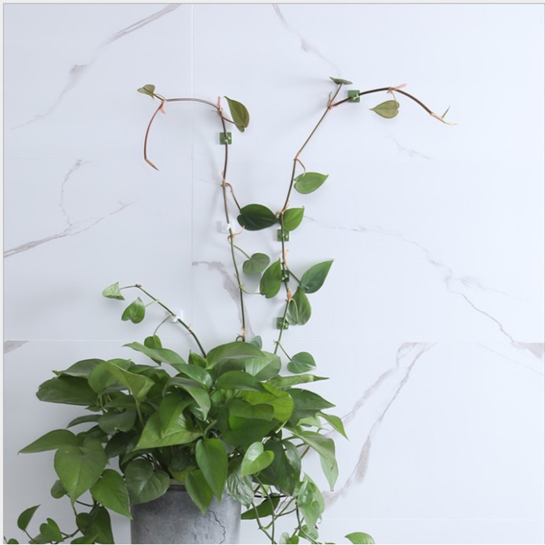 Titular de rábano verde Pared de escalada flor planta verde hierba verde hogar hebilla anillo rama verde que forma el gancho 10 Pack