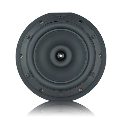 Car speaker/subwoofer spare tire gun subwoofer