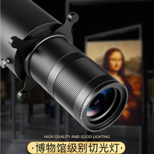 calligraphy and painting exhibition gallery open-fitting light-cutting lamp museum spotlight led track lamp light-cutting shape photo lamp