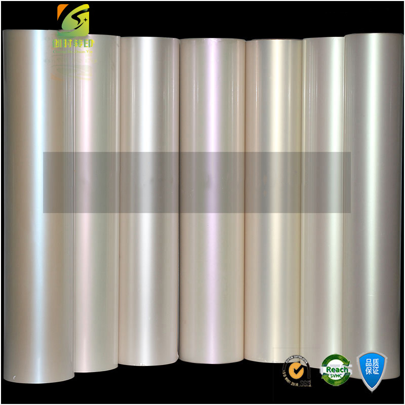 透明变色龙刻字膜1