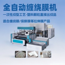 供应1000型双层共挤缠绕膜机器聚乙烯全自动拉伸膜保鲜膜机生产线