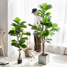 琴叶榕大型盆栽北欧植物室内摆件假绿植盆景家居客厅装饰摆设