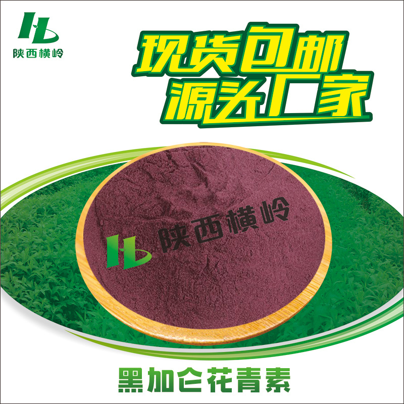 黑加仑花青素 25%含量 黑加仑提取物 植提花青素粉 500g/袋 包邮