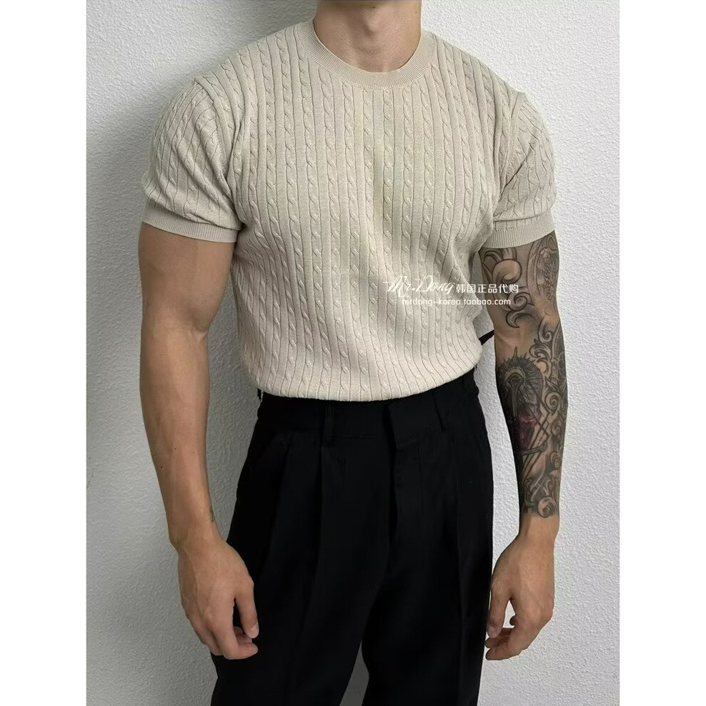 Suéter de punto de manga corta torta sensación de textura masculina Negocio británico autocultivo muscular seda de hielo verano comercio exterior transfronterizo al por mayor