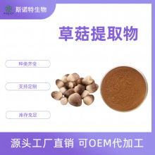 草菇提取物 10:1 30:1 食品级原料 水溶粉