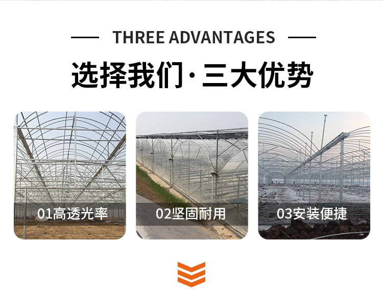 连栋薄膜温室_02.jpg