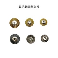 Iron core copper wire brush, steel wire brush, 19mm, 22mm, 25mm brush, brush, polishing tool brush