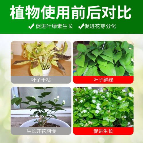 Chlorophyll Plant Horticulture Foliar Fertilizer Care Agent Universal Nutrient Solution Green Leaf Promotes Growth Ready-to-Use Flower Fertilizer