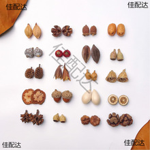 ��Ȼֲ����h�������diy���ӄ��₀�Զ��h���Ͽɐ���Ů���F���h