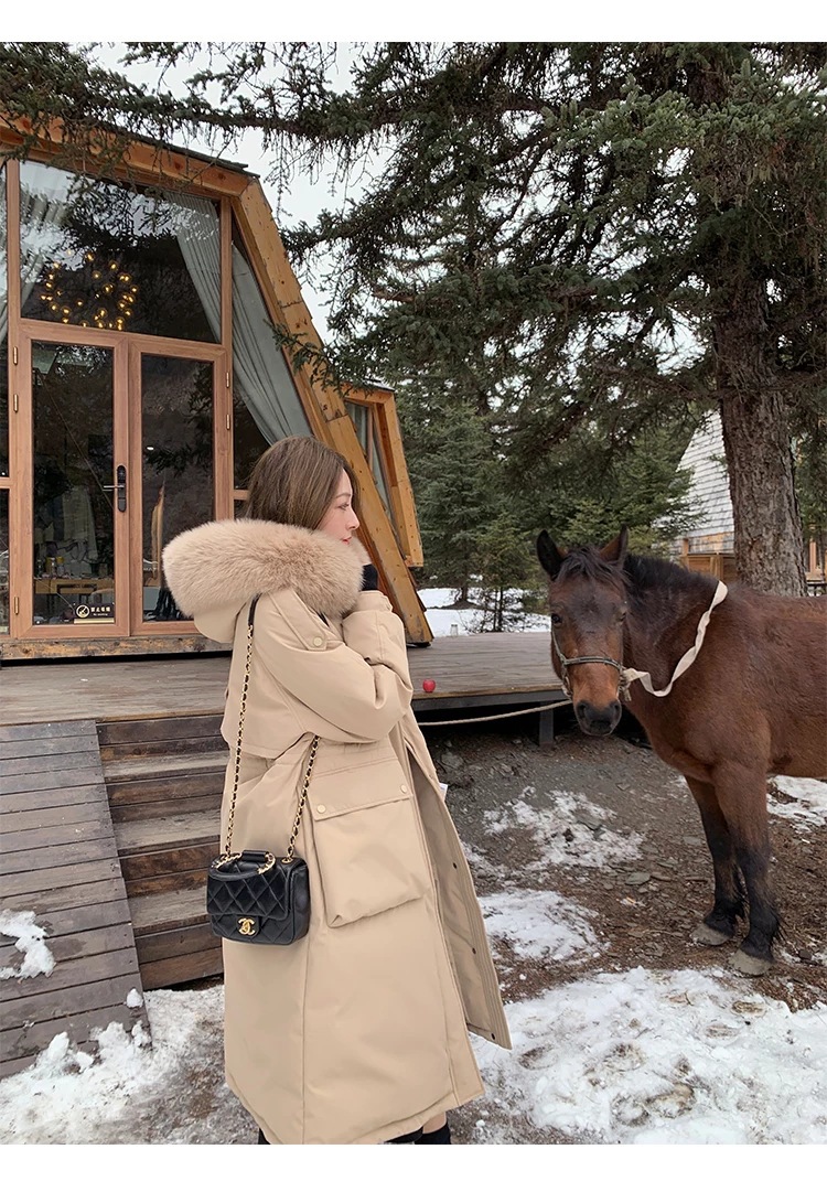 1630393296911.jpg?x-oss-process=image/format,png