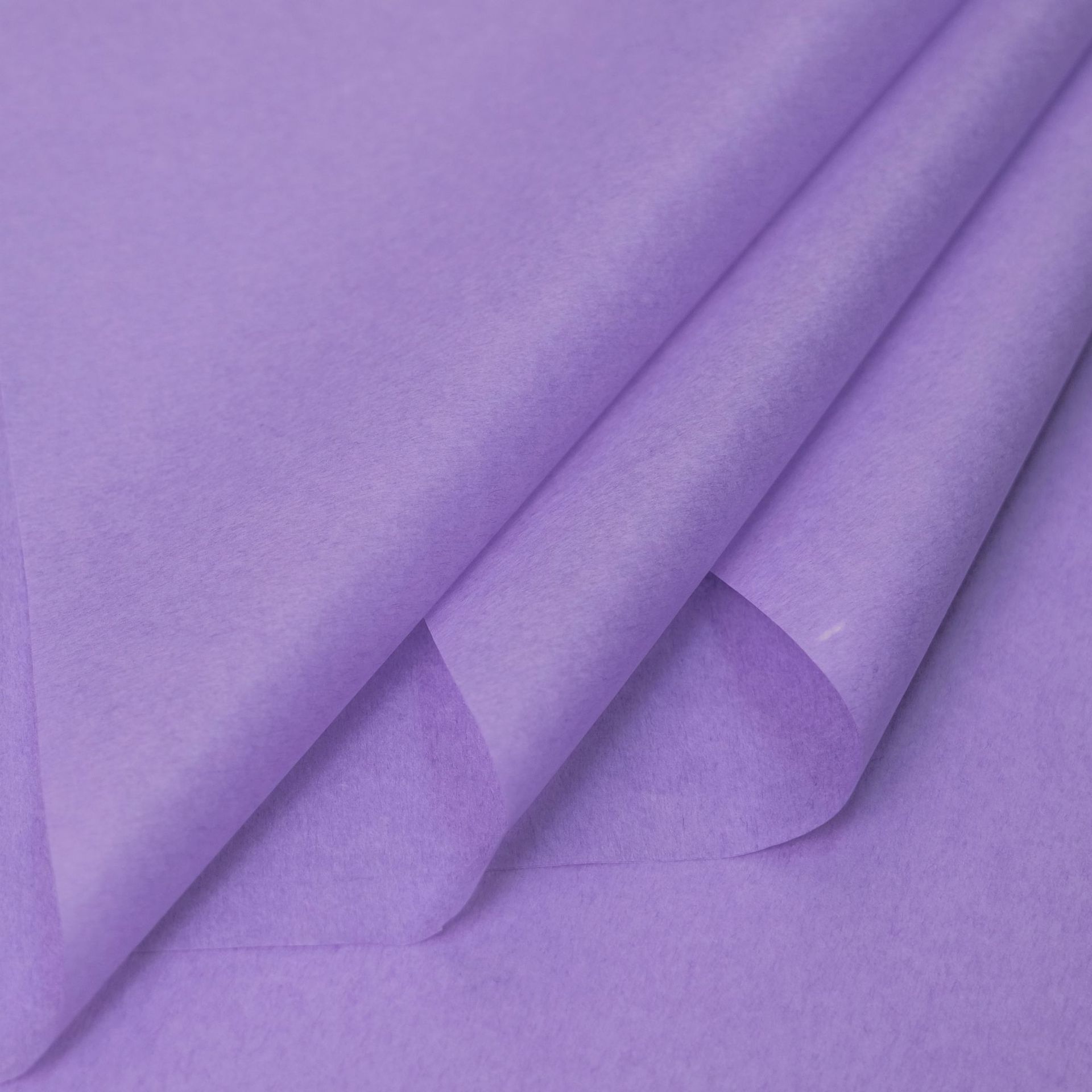 단색 보라색 36 사진