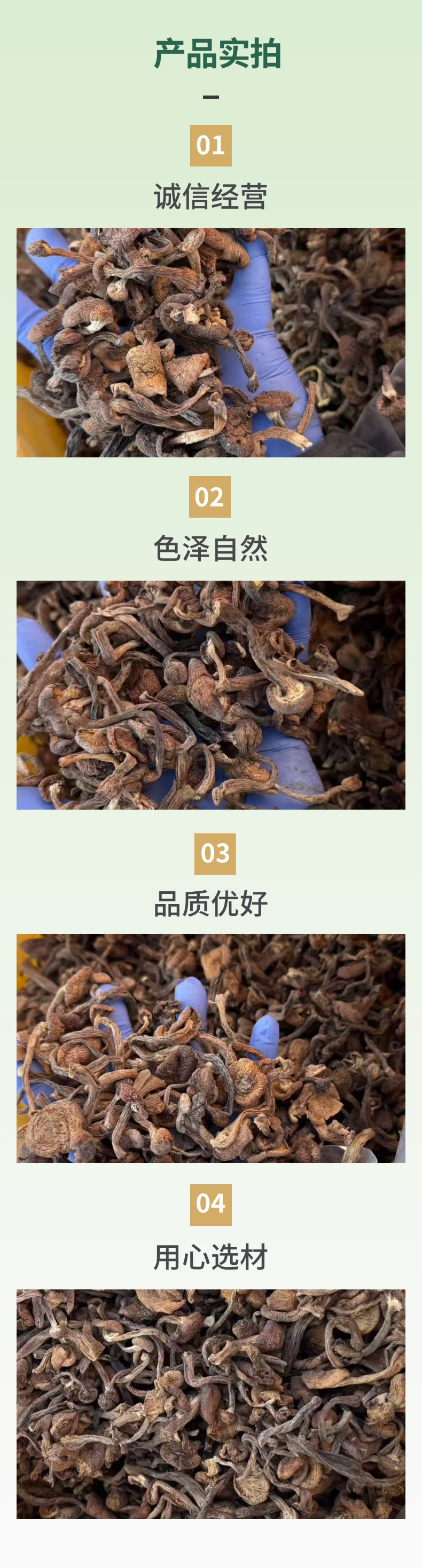 Dried Wild Hazelnut Mushroom Diced 500g Northeast China Dried Mushroom for Chicken Stew specifications